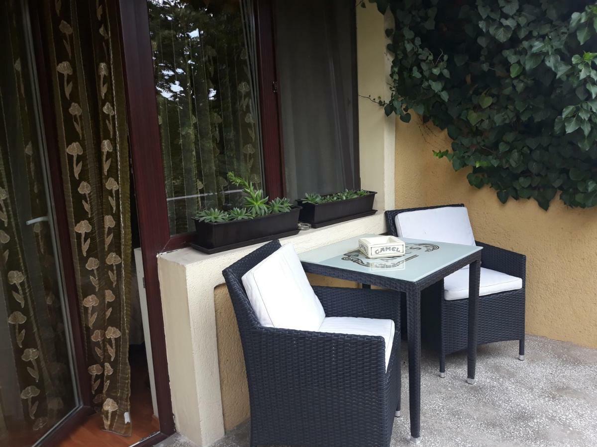 Pensiunea Sydney Timişoara Exterior foto